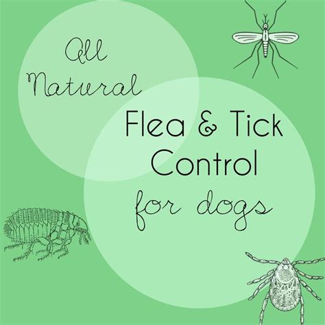 All Natural Flea And Tick Control For Dogs Natural Pet All Natural