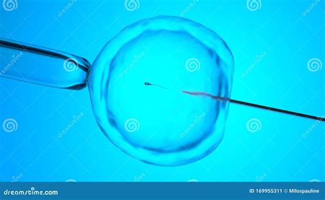 Artificial Insemination Or In Vitro Fertilization 3d Rendering Stock