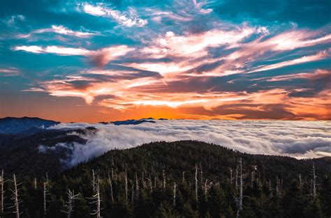 Free Images Nature Forest Horizon Mountain Cloud