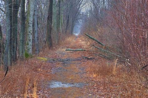 It remains one today, and is used for canoeing, kayaking, and fishing. Photo 575-23: A trail in Delaware and Raritan Canal State ...