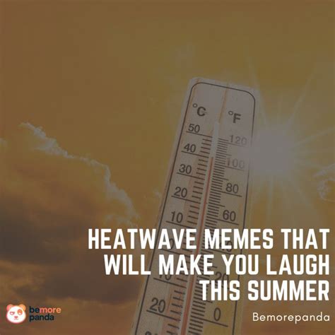 Heatwave Memes That Will Make You Laugh This Summer Heatwave Memes