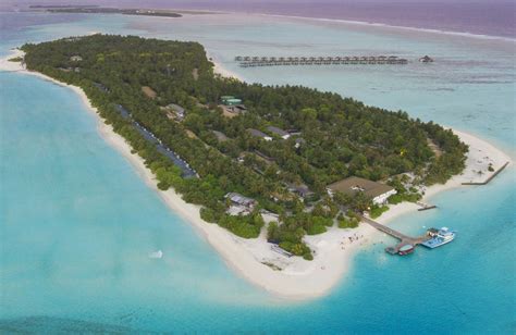 Top 10 Maldivian Resorts With The Best House Reefs In The World