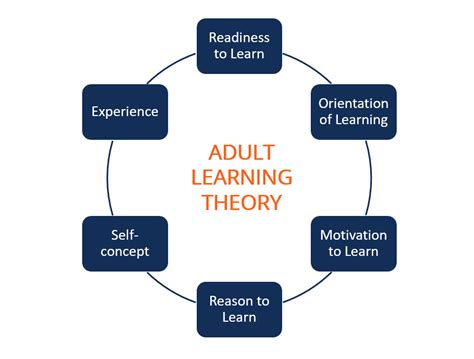 Adult Learning Theory Definition History And Principles
