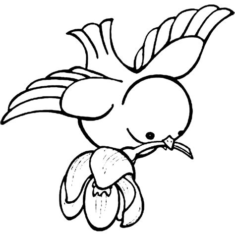 Bird Color Pages Cute Printable Coloring Pages