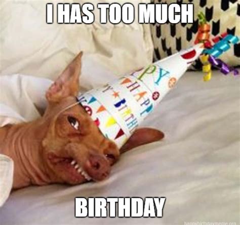 29 Funniest Happy Birthday Dog Meme Happy Birthday Meme