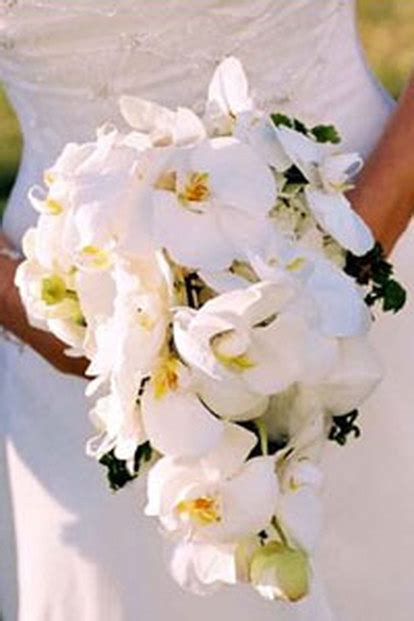 Maybe you would like to learn more about one of these? Flowing wedding bouquet - Sofie's free wedding tips