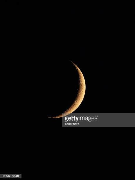 A Saga Crepúsculo Eclipse Photos And Premium High Res Pictures Getty