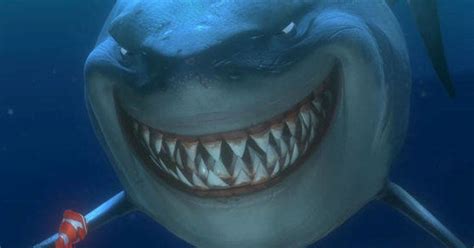 Smiling Shark Looks Just Like Bruce From Finding Nemo Pixar Movies