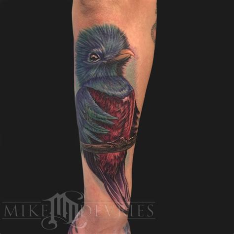 mike devries tattoos realistic quetzal bird tattoo