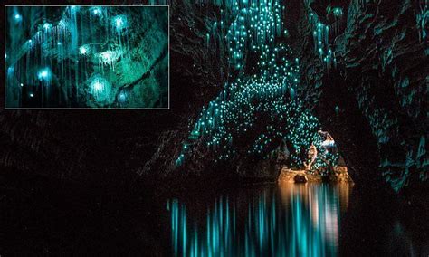 Spellbinding Images Show Glow Worms Illuminating New Zealand Caves