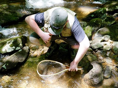 Smokies Trout Camp Opens Registration For Middle Schoolers