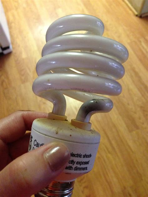 Why Does My Compact Fluorescent Light Bulb Flicker
