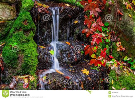 Beautiful Waterfall In Forest Autumn Landscape Stock Photo Image Of