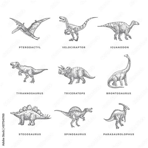 Learn To Draw Prehistoric Creatures Dinosaurs Artist Drawing Bundle
