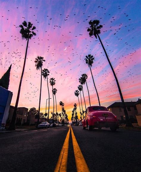 Pin By Angel On Aesthetically Pleasing Travel Los Angeles Palm Trees