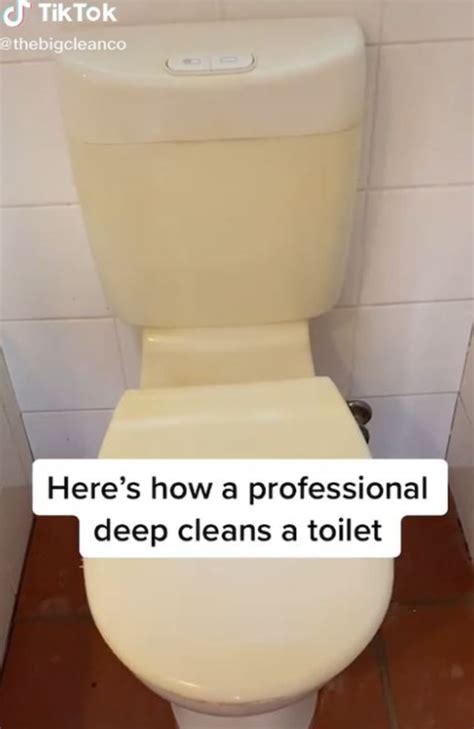 Professional Cleaner Reveals How To Deep Clean Your Toilet Au — Australias Leading