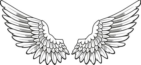 Feather Wings Drawing At Getdrawings Free Download
