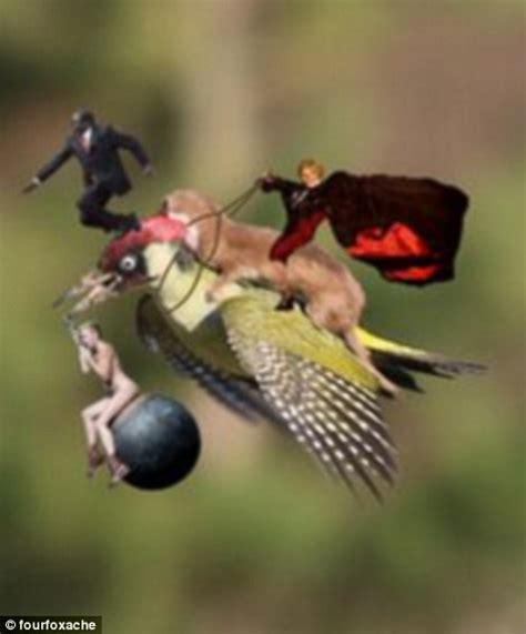 on a wing what a pair internet reacts to stunning action picture of weasel hitching ride on