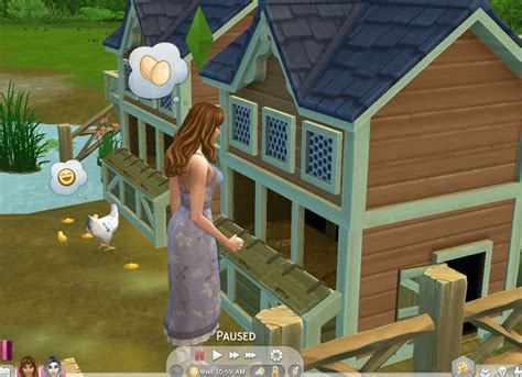 Ts4 Chickens The Ultimate Guide On Cleaning And Caring For Them
