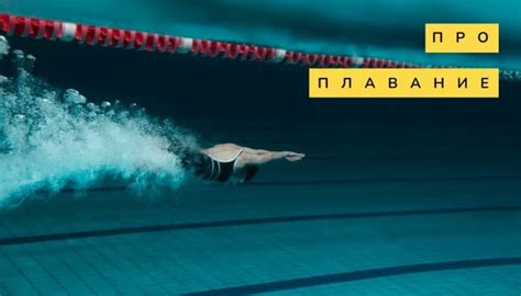 Про плавание: история, виды, польза для здоровья и советы для начинающих