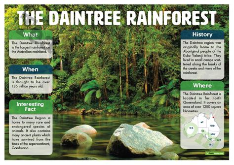 The Daintree Rainforest Poster Teaching Resource Teach