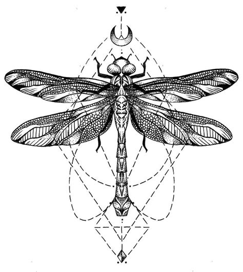 A Black And White Drawing Of A Dragonfly