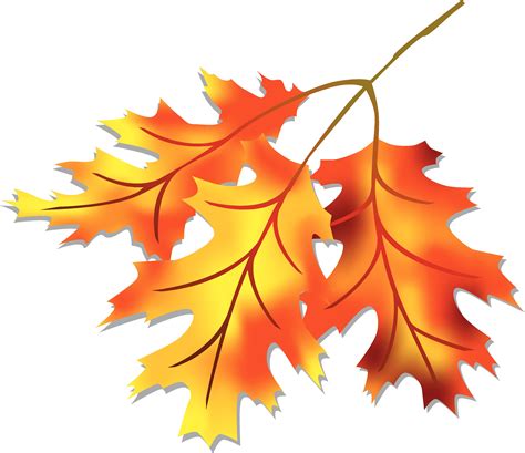 Fall Leaves Tree With Autumn Leaves Illustration Color Clip Art Fall