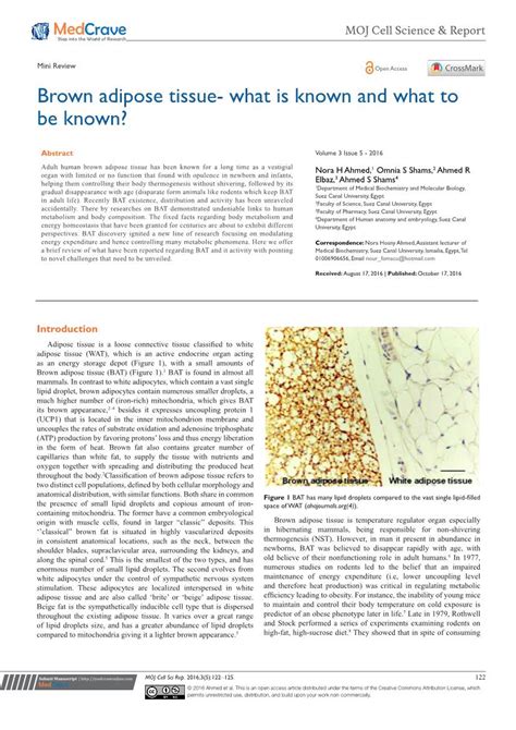 Brown Adipose Tissue What Is Known And What To Be Known Docslib