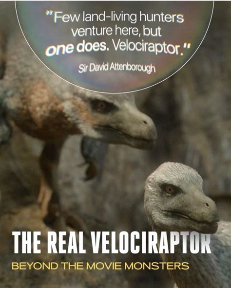 The Real Velociraptor Prehistoric Planet Know Your Meme