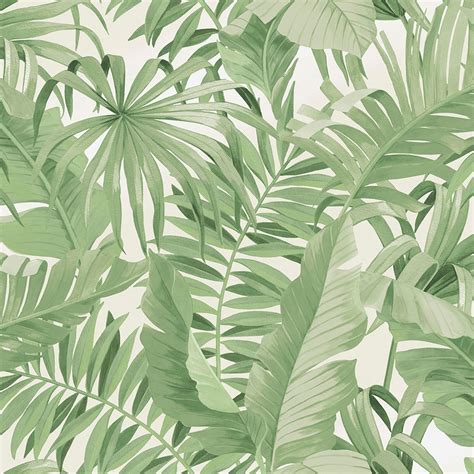 We did not find results for: Lucie Annabel Palma Tropical Wallpaper Sage - Wallpaper ...