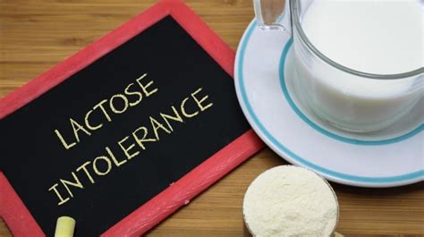 Tips To Manage Lactose Intolerance Symptoms Health Blog