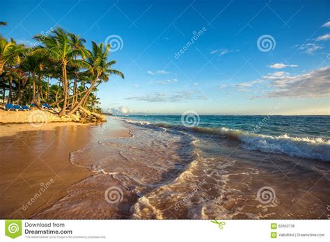 Landscape Of Paradise Tropical Island Beach Stock Photo Image Of Sand
