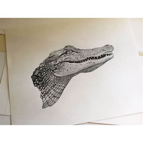 Alligator Drawing 2014 Animal Drawings Animal Tattoos Crocodile Tattoo