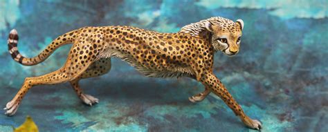 Cheetah By Hontor On Deviantart