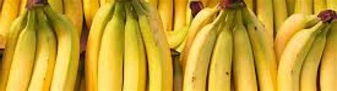 The End Of Bananas Scientists Warn The Fruit Could Become Extinct