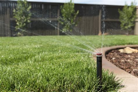 Tips For Properly Watering Your Lawn In The Summer Your Green Team