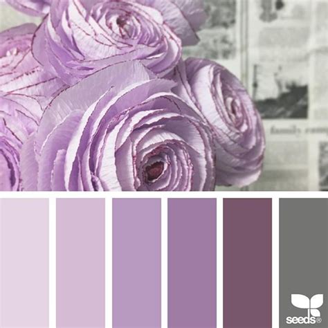 Color Collect Purple Color Schemes Color Schemes Color Inspiration