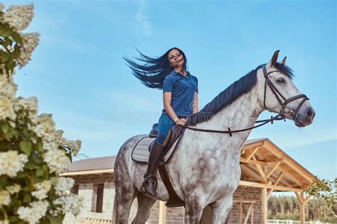 Beautiful Brunette Girl Stroking Her Gray Horse Near Lilac Bushes In