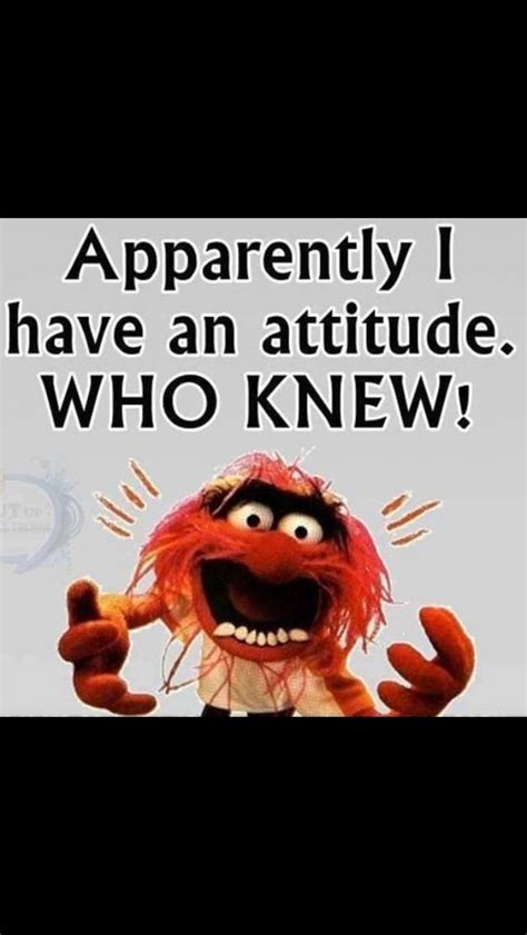 Muppets Quotes Image By Sylvia On Hilarious Funny Phrases