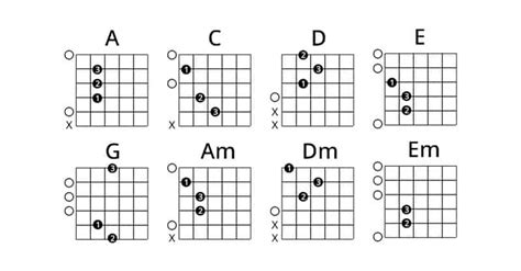 Bm Chord For Beginners Learn To Play The B Minor Guitar Chord Today