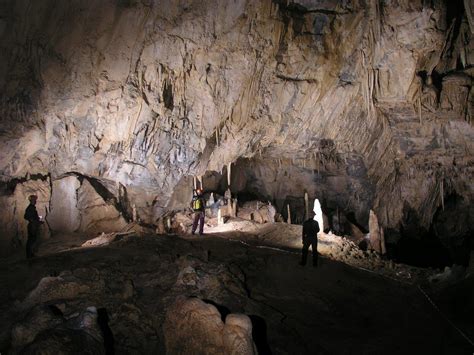 Cueva De Palestina De Los Guácharos Cuevas Y Tragaderos De Perú Y