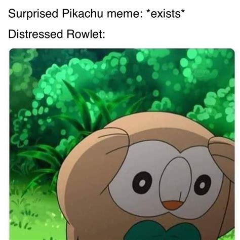 Distressed Rowlet Memes Viral Trends Funny Meme Twitch Kappa