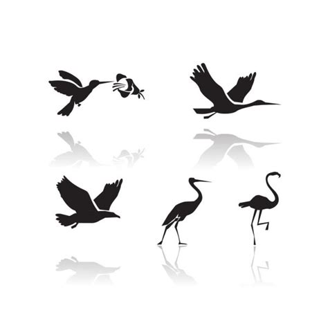 Set Of Birds — Stock Vector © Vinczeszabi 47820287