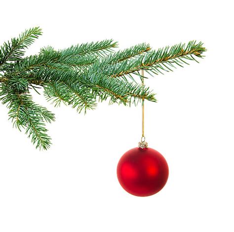 Christmas Ornament Pictures Images And Stock Photos Istock