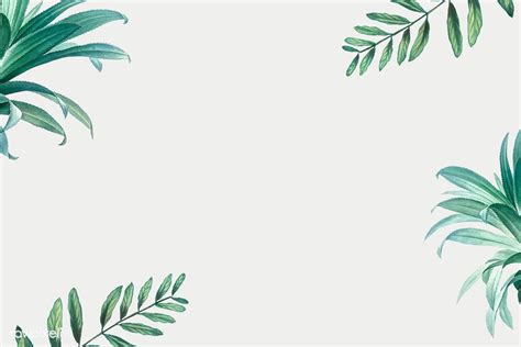 Hand Drawn Tropical Leaves On A White Background Premium Image By