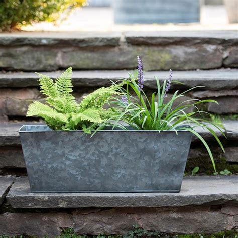 How To Plant Window Boxes 10 Easy Steps To Create A Beautiful Display