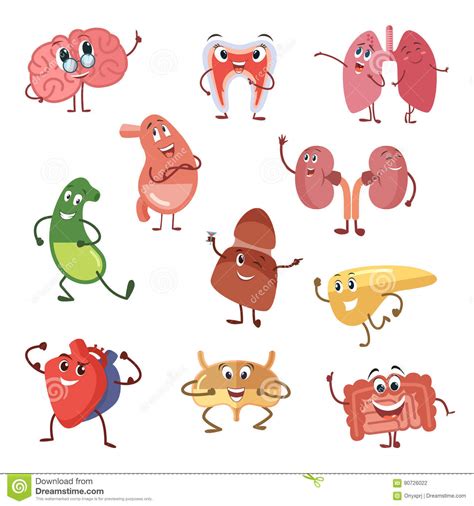 Human Organs With Funny Emotions Cartoon Vector Illustration Isolate