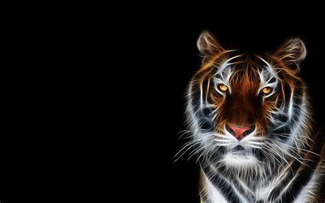 Free Download Hd Wallpaper Tiger Abstrak 1920x1200 Black Tiger