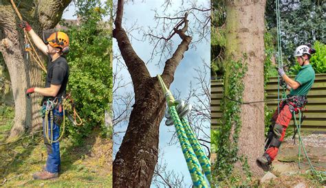 Tree Climbing Rope Setups Outdoorphilecom