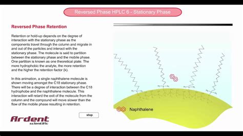 Reversed Phase Hplc 6 Stationary Phase Retention Youtube